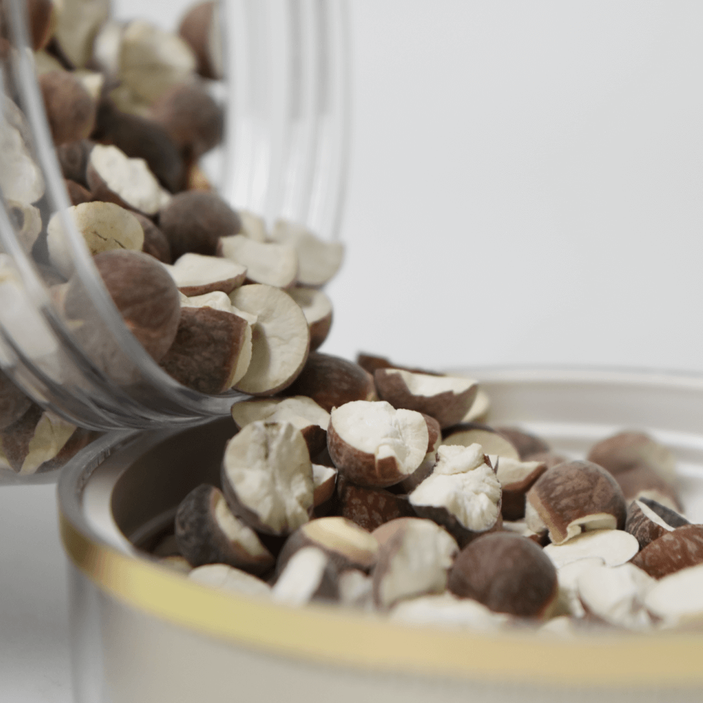 Gordon Euryale Seed 芡实 500g