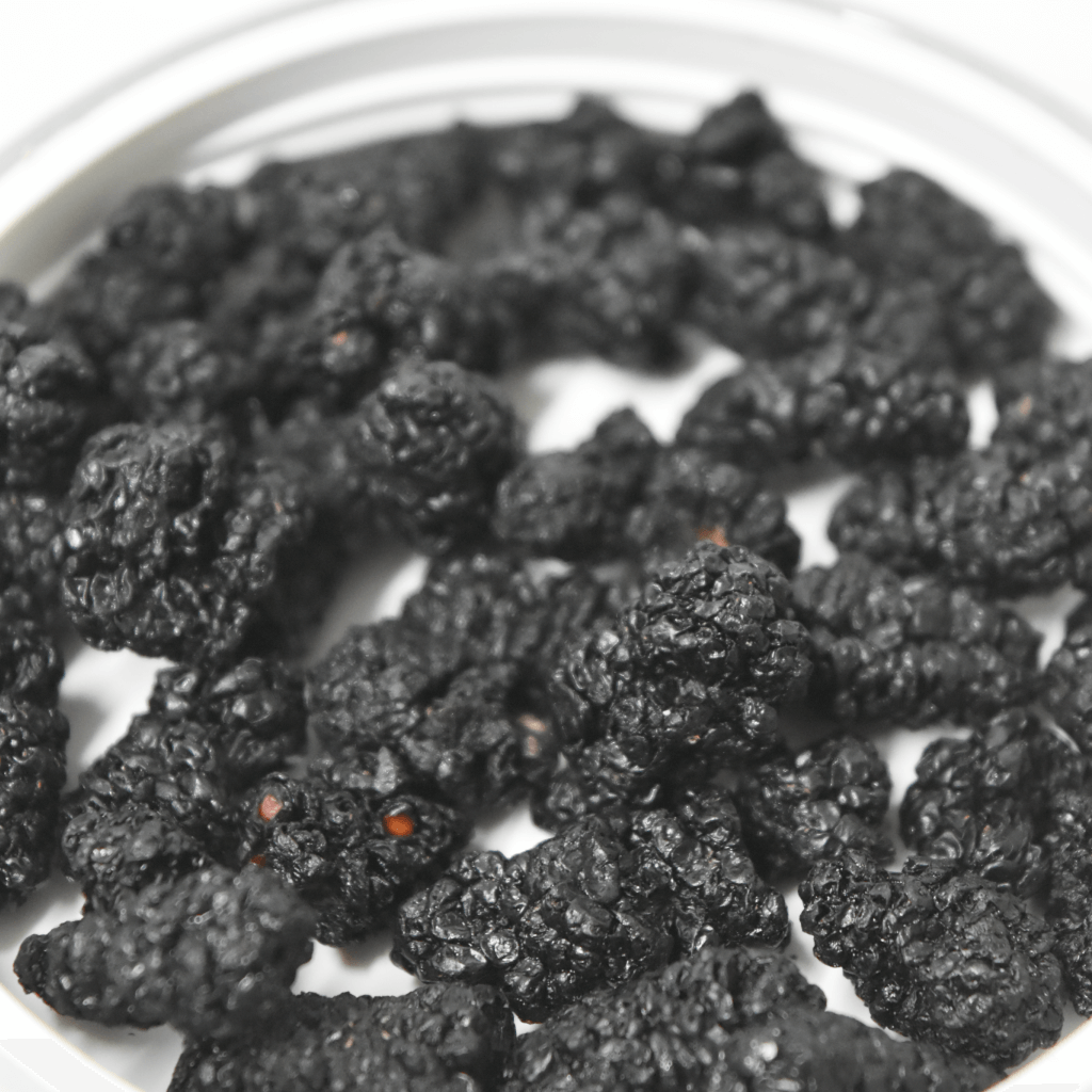Mulberry Fruit 桑葚子 400g